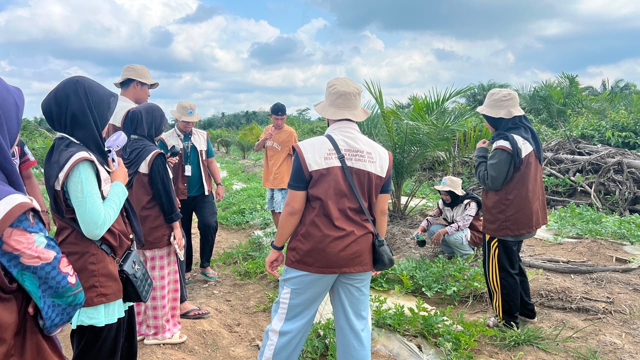 Mahasiswa KUKERTA Berdampak UNRI Latih Petani Indragiri Hulu Membuat Pestisida Nabati dari Daun Pepaya